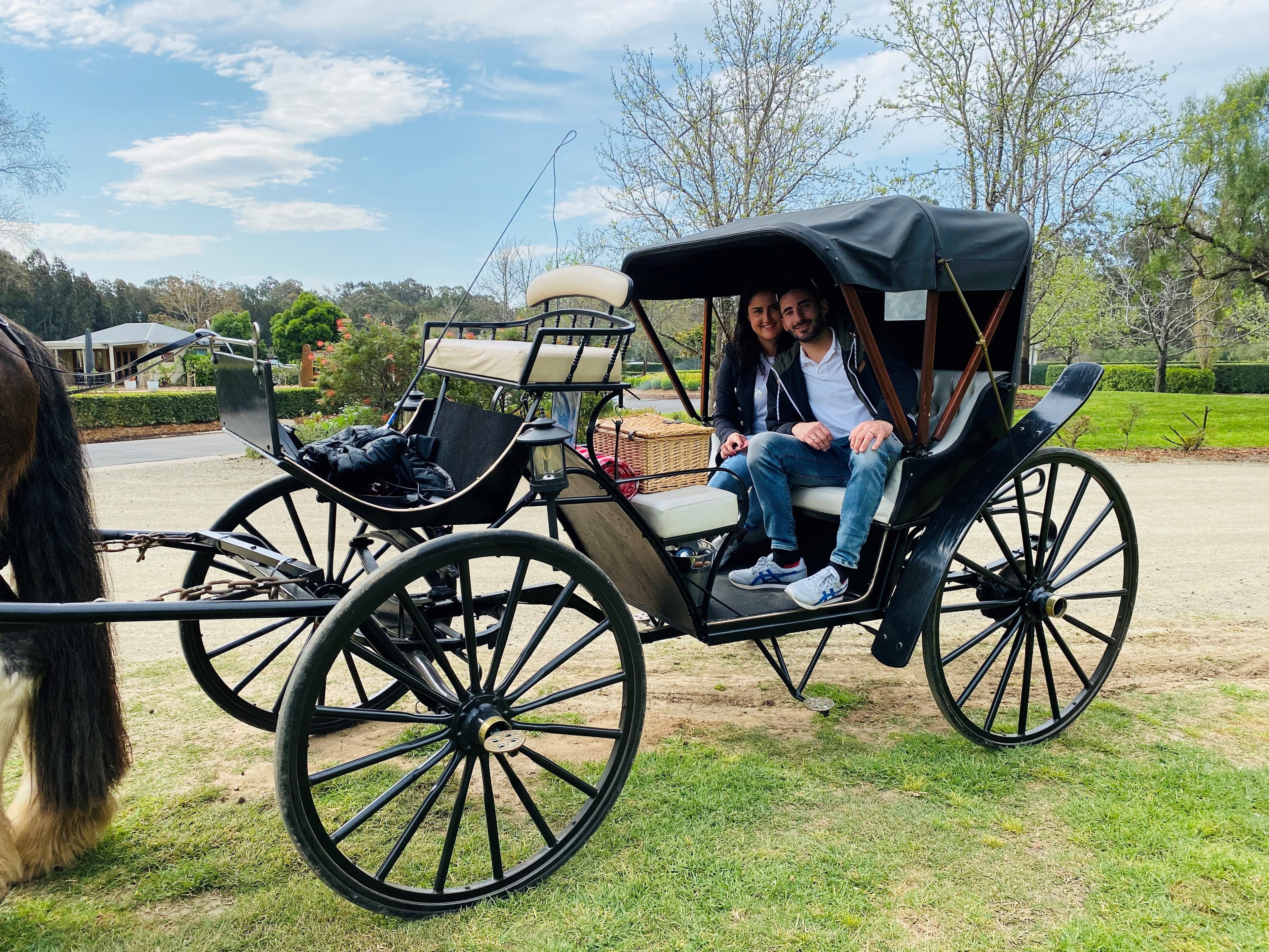 Horse and cart experience at an outdoor event